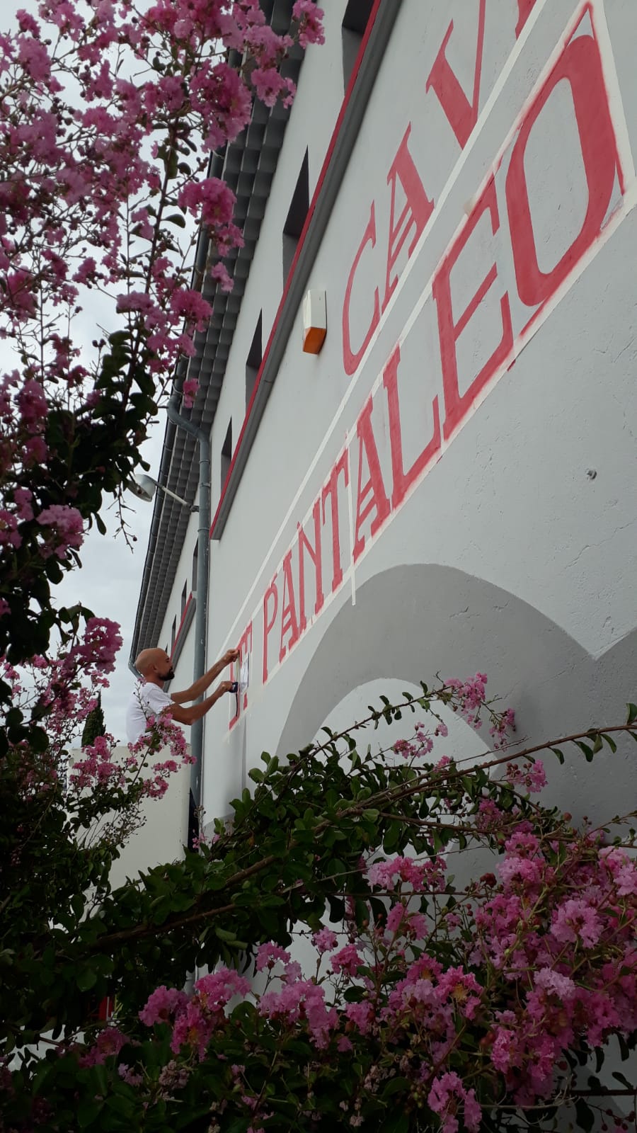 Cave de St Pantaléon les vignes 6